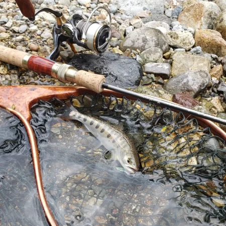 今日もチビッ子