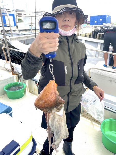 ７月１１日（月）の釣果（マダコ２.４kgと２.０kg含む船中３７杯）