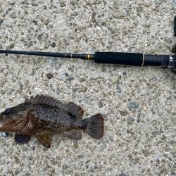 穴釣りでソイの自己記録！！