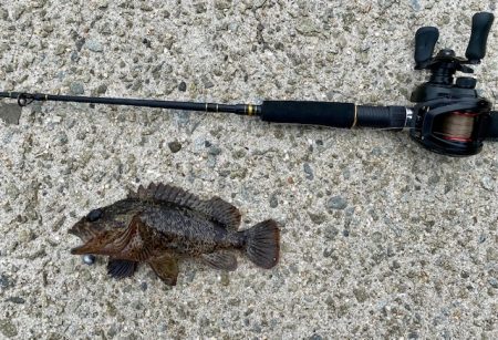 穴釣りでソイの自己記録！！