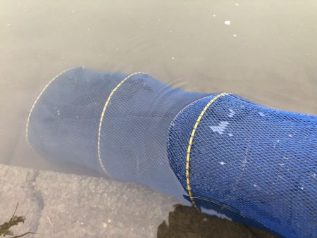 宇曽川濁流で釣果落ちてます