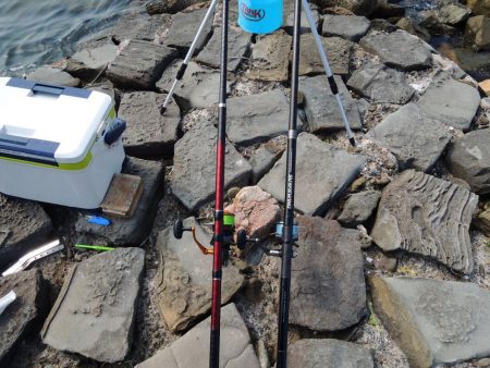 真夏のキス釣り　ミニチャリコに降参