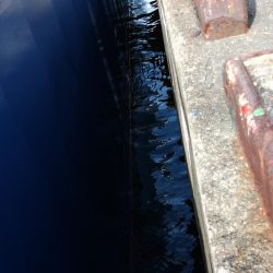 ぶら河川船底調査！！