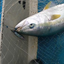 ジグパラでジギング！