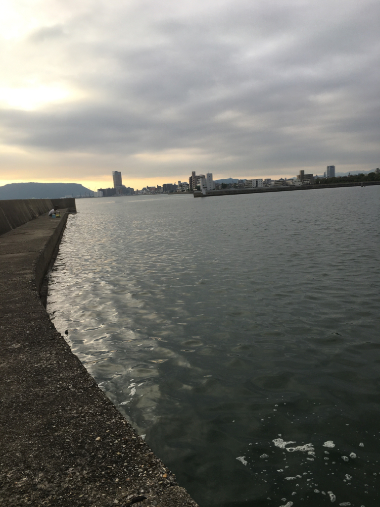 ありがたい!狙いと違う!大物が。