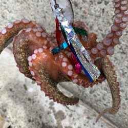 やっと、つ抜けた。