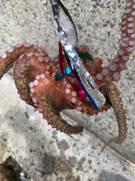 やっと、つ抜けた。