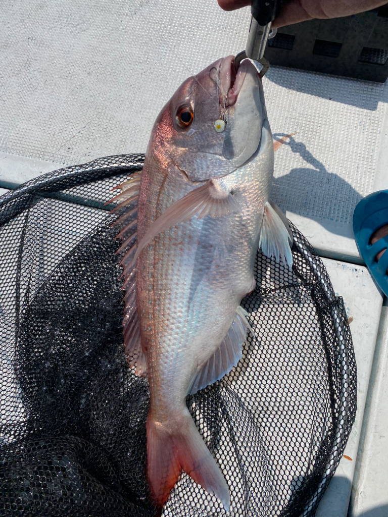 関門一つテンヤ