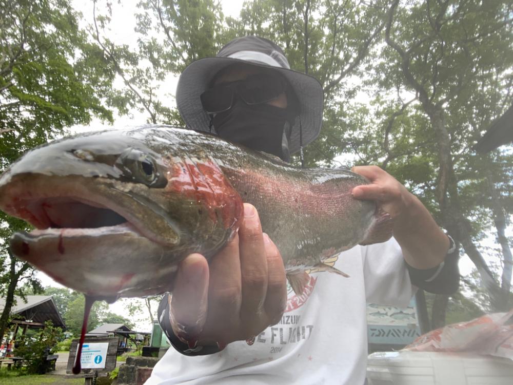 エリアトラウト