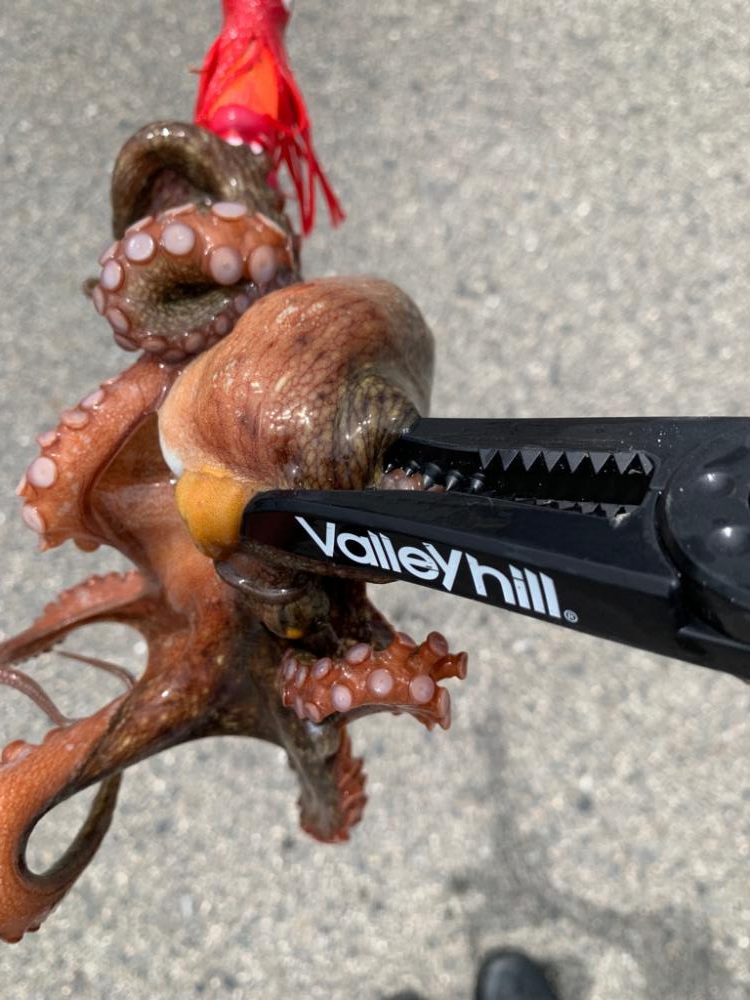 今日も渋い中、何とか！