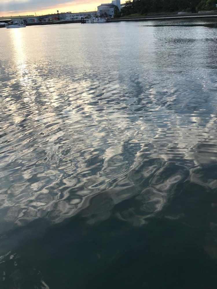 朝活！高活性！