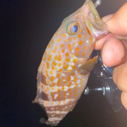 信頼のおけるリーダー