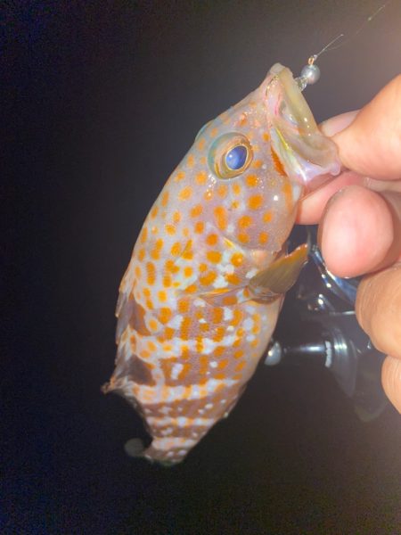 信頼のおけるリーダー