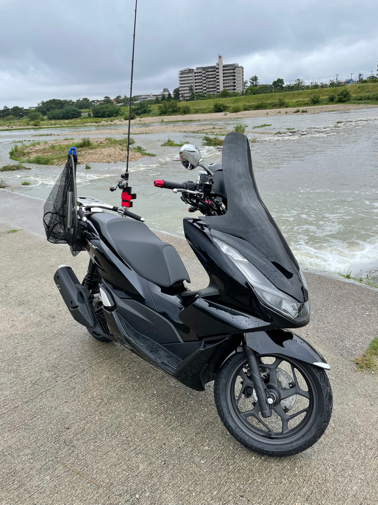 早朝からデイナマ