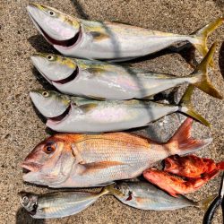 スーパーライトジギング