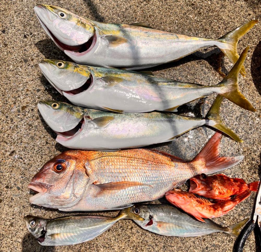 スーパーライトジギング