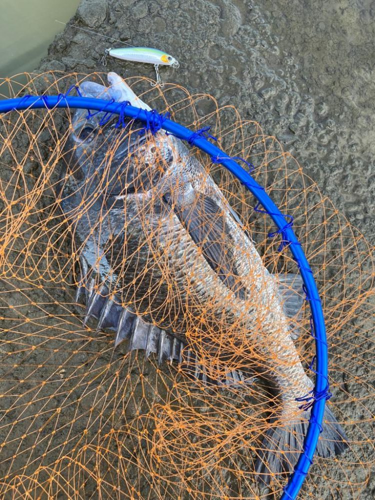 トップチニング 最盛期