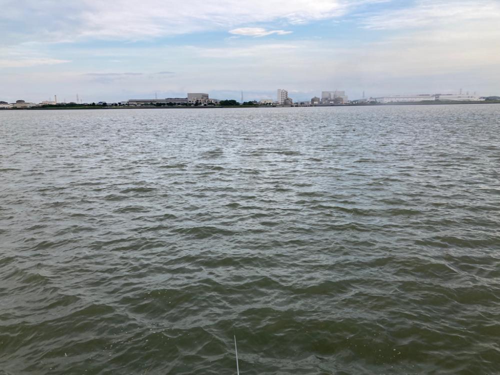 須磨海岸緑地 セイゴ