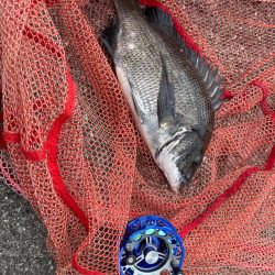 自己更新届かず…