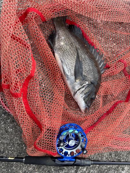 自己更新届かず…