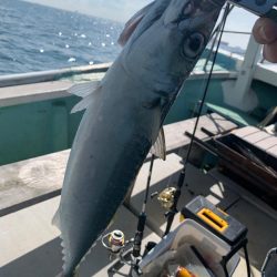 予定通りの釣果でしたが…