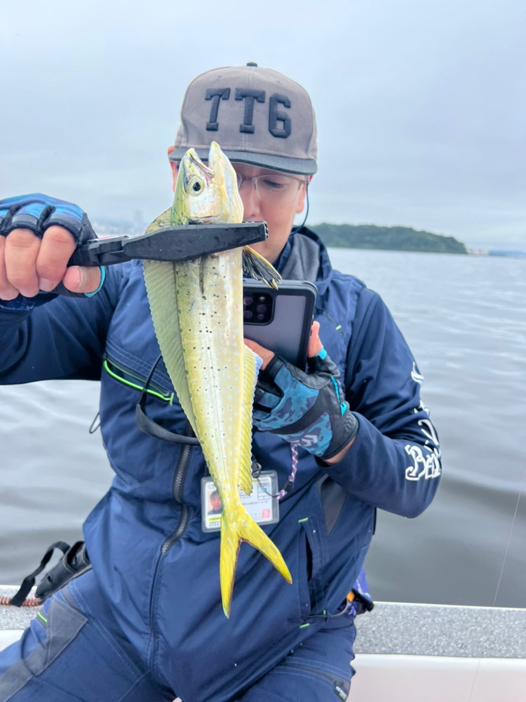 青物調査してきました