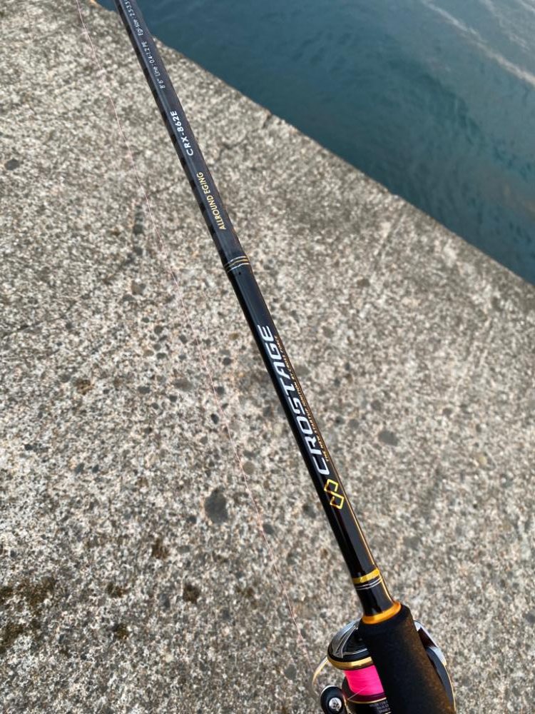 夕まずめライトゲーム