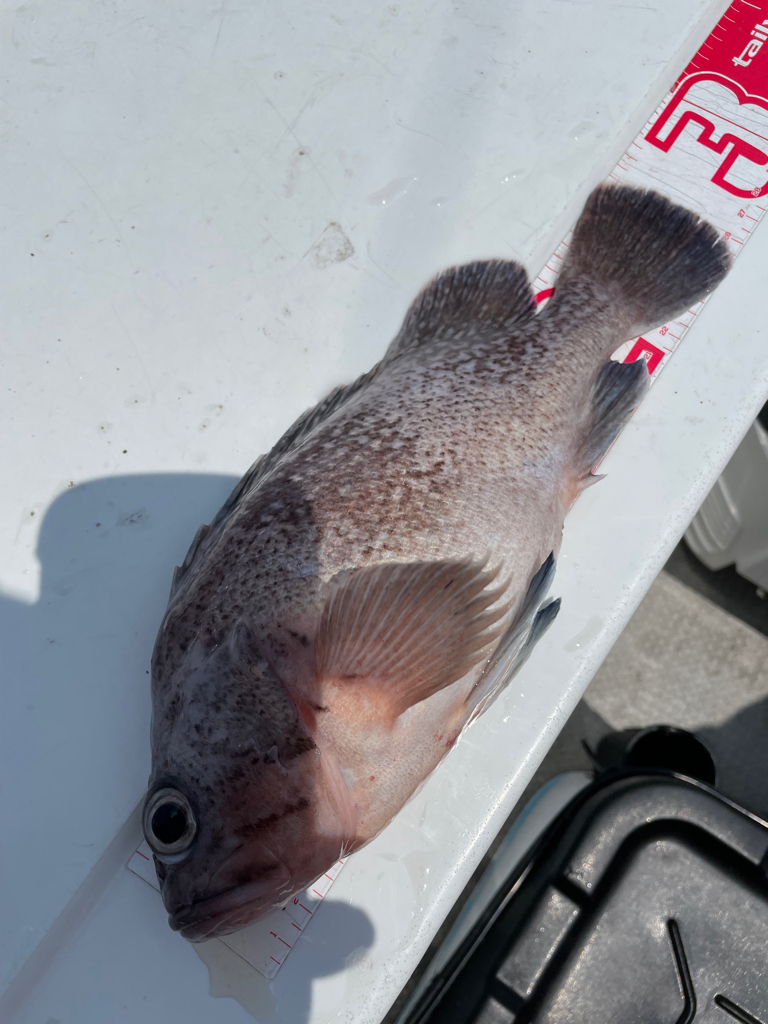 中深海スローピッチジャーク