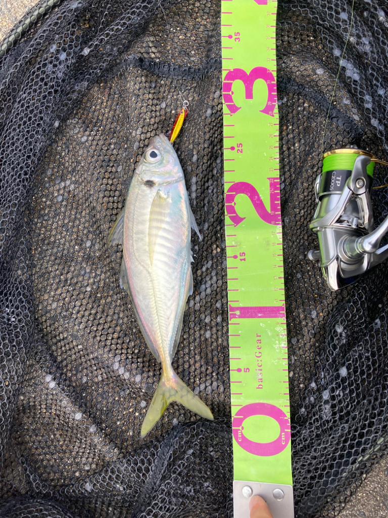 入れ食いすぎて飽きました