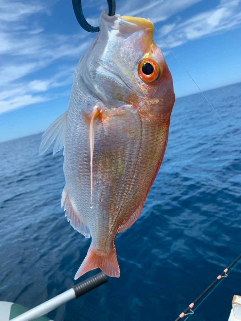 マイボートでアマダイ狙い。