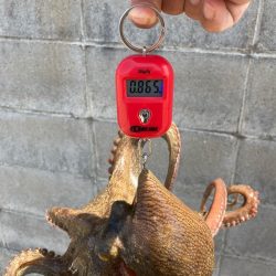 ⭐︎導き出した答え