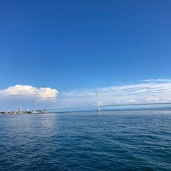 梅雨明けピーカンのグレ狙い