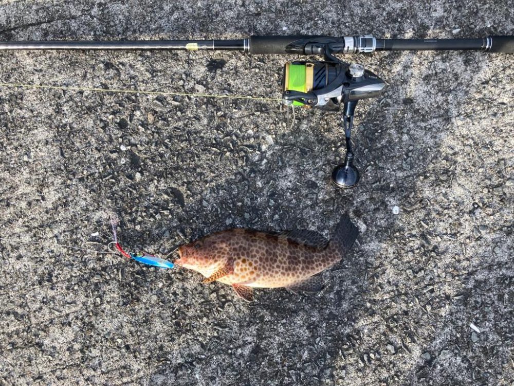 オーバーザレインボー