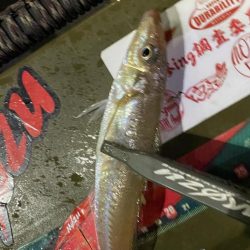 初のボートアジング