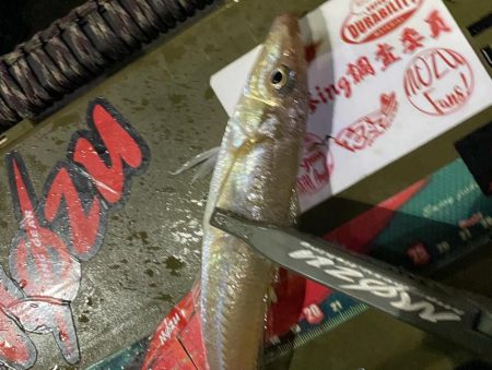 初のボートアジング