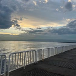 湾奥ライトゲーム！