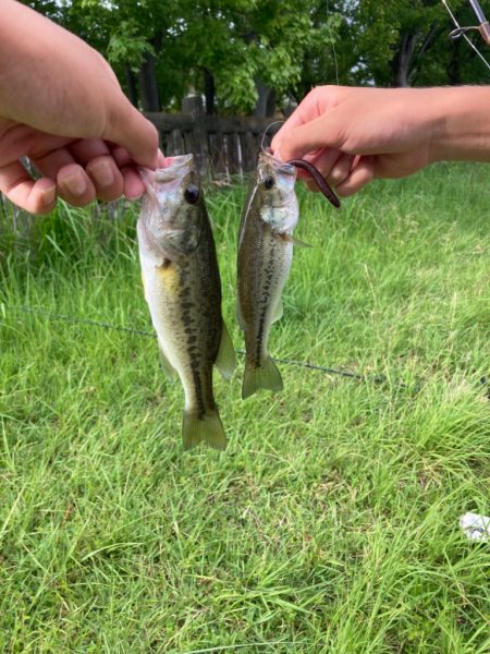 久しぶりのブラックバス釣行