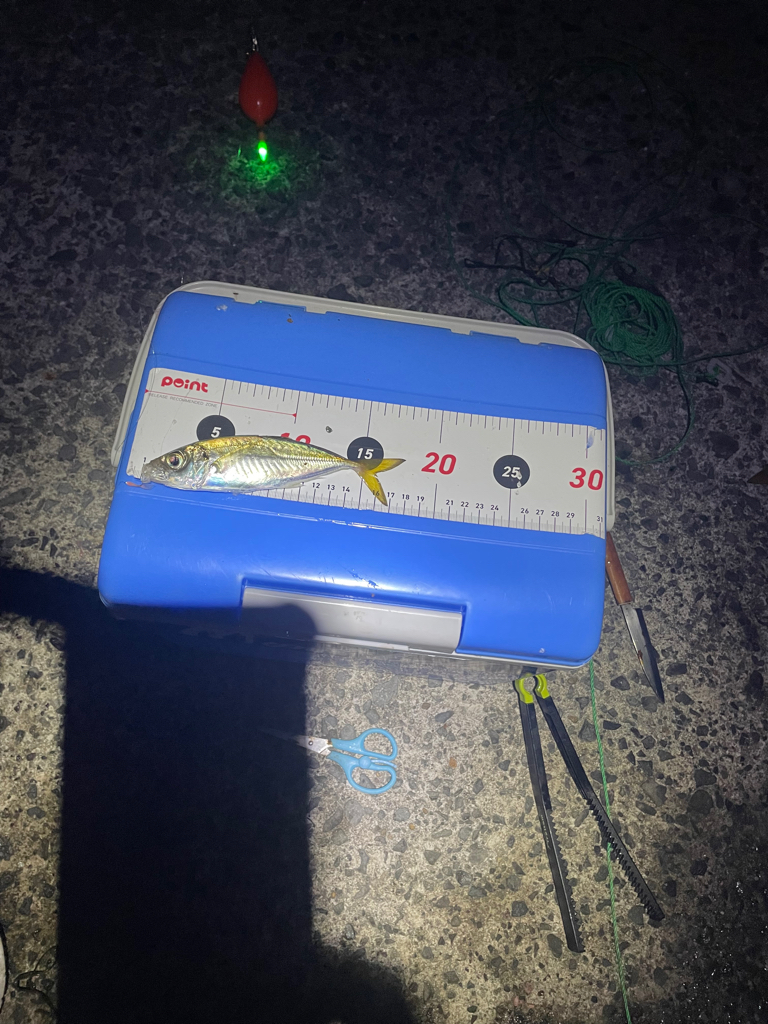 やはり日本海は、凄い。