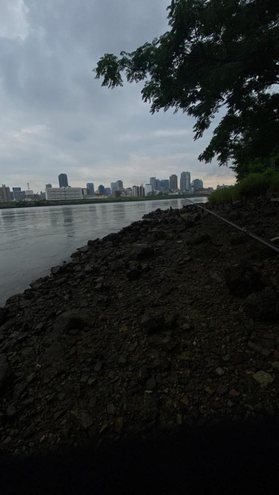 淀川チニング 夕方1時間勝負