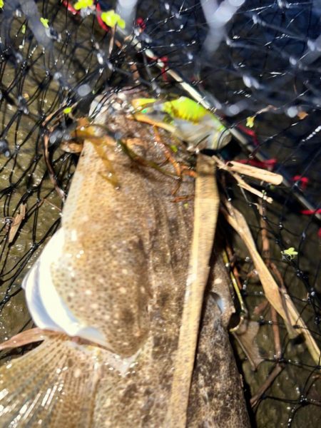 まさかのマゴチ！！