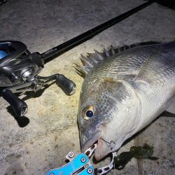 淀川ブリームゲーム