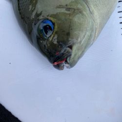 夏らしさ全開！