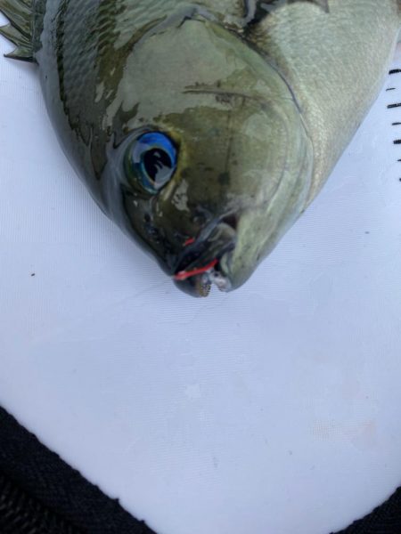 夏らしさ全開！