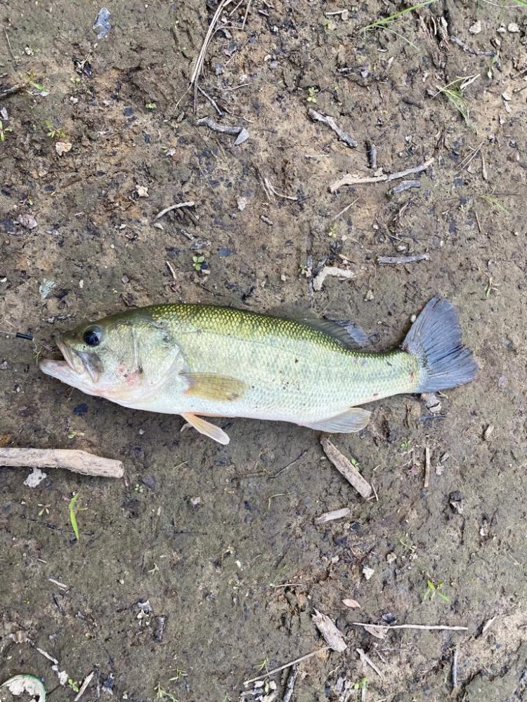 少し増水した川で！