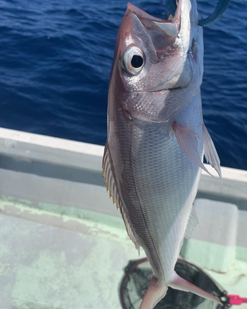 初めての宮古島！