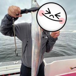 青物調査してきました