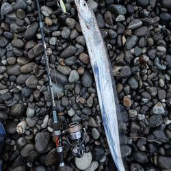 ジャックアイマキマキはなんでも釣れちゃう！？