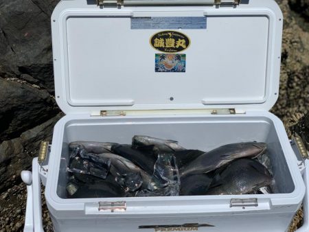 今シーズン最後のグレを求めて