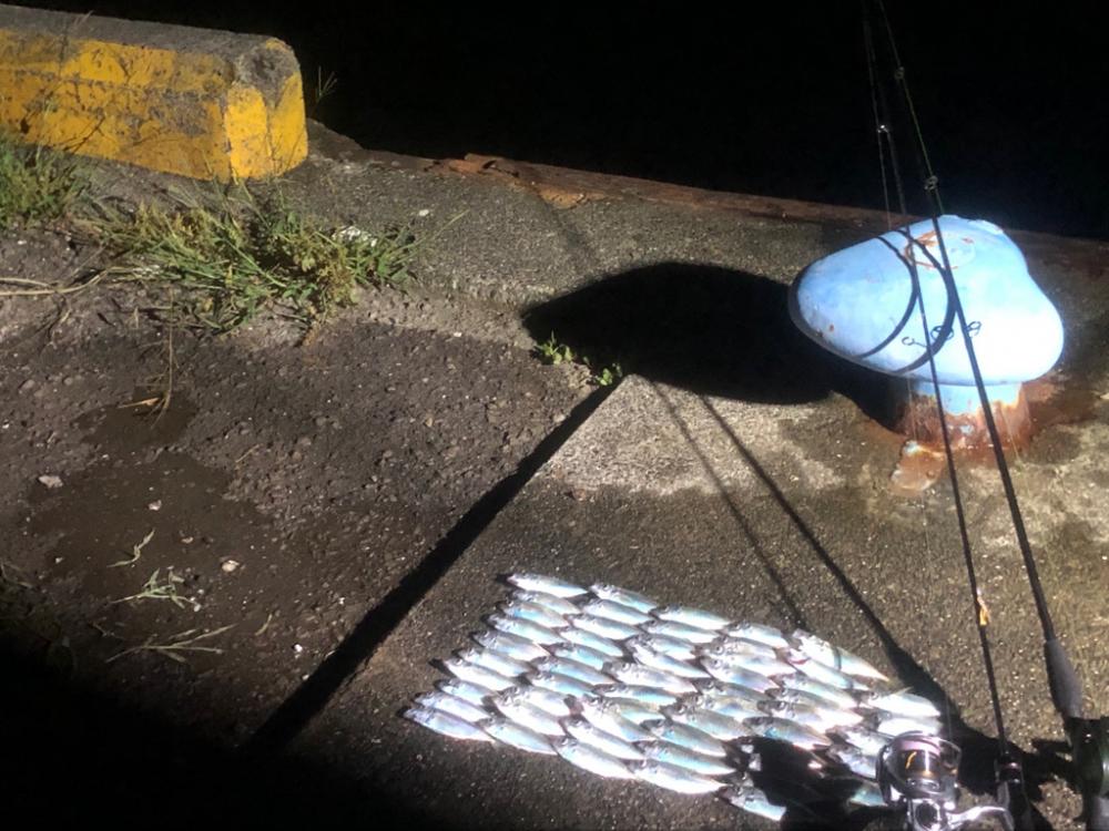 いつものところでいつものように…