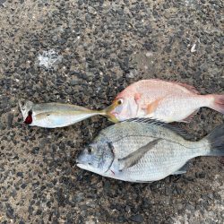 涼を求めて夕まづめに❗️